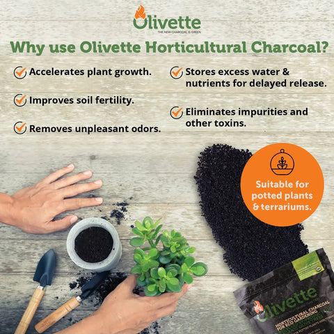 Premium Olive Derived Activated Charcoal For Plants Biochar Soil Booster For Terrariums And Potted Plants Moisture Control Root Rot Prevention Eco Friendly Organic Indoor Garden Solution One Bag displayed with plant and gardening tools
