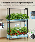 Two-Tier Vertical Hydroponics Garden Kit With 32 Pods And 32 Large Buckets 32L Indoor System shown with plants inside.