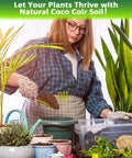 Woman using 2 Pack Premium Coco Coir Brick For Plants, 100 Percent Organic Coconut Coir Growing Medium for seedlings and pots