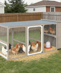 Ultimate Backyard Chicken Coop With Run And Waterproof Cover For 4-6 Chickens Large Poultry Cage With Nesting Boxes in backyard setup.