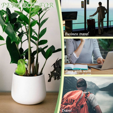 watering spikes for potted plants 4 Pack Self Watering Spikes For Indoor Plants Bird Shape Automatic  Irrigation Globes Green Plant Watering Devices Easy Setup No Fuss Low  Maintenance