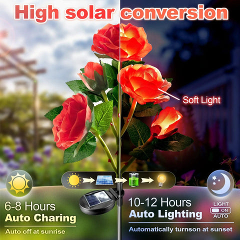 Solar Garden Lights Outdoor 10 Waterproof Fabric Roses 2 Pack Rad Red Led Flower Decorations showcasing charging and lighting.