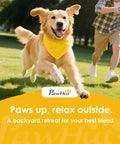 Golden retriever running with yellow bandana in backyard, playing with owner. Adjustable Dog Agility Training Equipment For Backyard Courses.