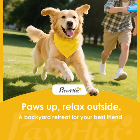 Golden retriever running with yellow bandana in backyard, playing with owner. Adjustable Dog Agility Training Equipment For Backyard Courses.