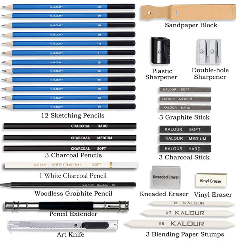 Pro Grade Sketching Pencils Set With Charcoal And Graphite Portable Zippered Case Includes 12 Graphite Pencils 5H To 8B 3 Charcoal Pencils