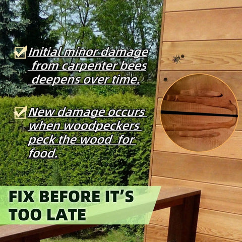 Wood siding with initial minor damage from carpenter bees and text about woodpecker damage prevention with repair kit.