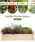 Wooden Raised Garden Bed 48 Inch Long By 24 Inch Wide By 10 Inch High Planter Box with various plants for multiple planting options