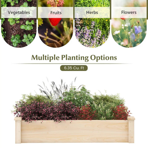 Wooden Raised Garden Bed 48 Inch Long By 24 Inch Wide By 10 Inch High Planter Box with various plants for multiple planting options