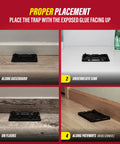 Proper placement of mouse glue traps along baseboards and floors for effective pest control. Snag Those Sneaky Critters Fast With These Ready To Use Mouse Glue Traps For Indoor Home Defense.