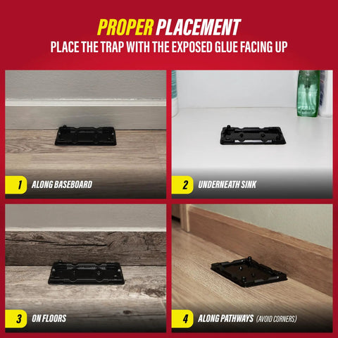 Proper placement of mouse glue traps along baseboards and floors for effective pest control. Snag Those Sneaky Critters Fast With These Ready To Use Mouse Glue Traps For Indoor Home Defense.