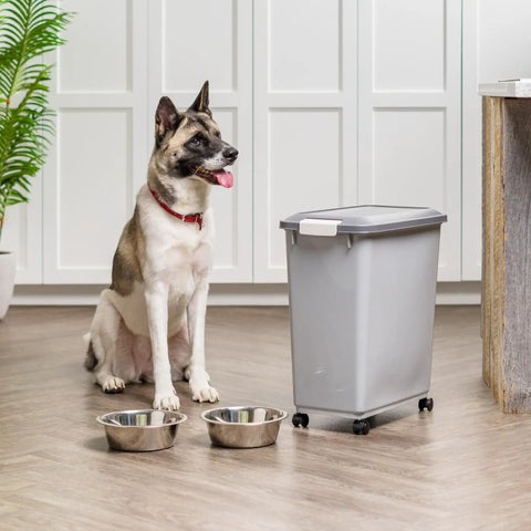 Dog sitting next to gray Portable 40Lb Pet Food Storage Bin With Wheels, Airtight Lid, Built In Scoop In Lid on kitchen floor.