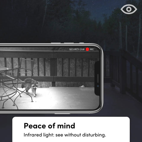 Phone screen showing raccoon on a deck at night, highlighting night vision of Wi-Fi Smart Infrared BR30 LED Bulb With 1100 Lumens.