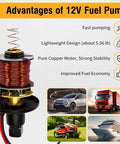 12V Low Pressure Inline Fuel Pump with copper motor for cars, trucks, boats, showcasing advantages like fast pumping and fuel economy