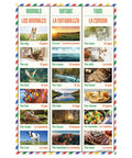 Five Poster Basic Spanish Vocabulary Set With Photos For Classrooms Colorful 12 By 18 Inch Language Learning Posters For Pre K To 12 Teachers And Students Includes Colors Numbers People Animals Weather Home Body Clothes Transportation Emotions Hobbies, showing animals, nature, and food with images and words.