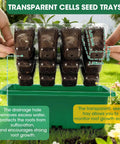 Five Pack Seed Starter Tray Kit With Humidity Dome And Transparent Drain Hole Base For 60 Cell Trays Indoor Greenhouse Propagator
