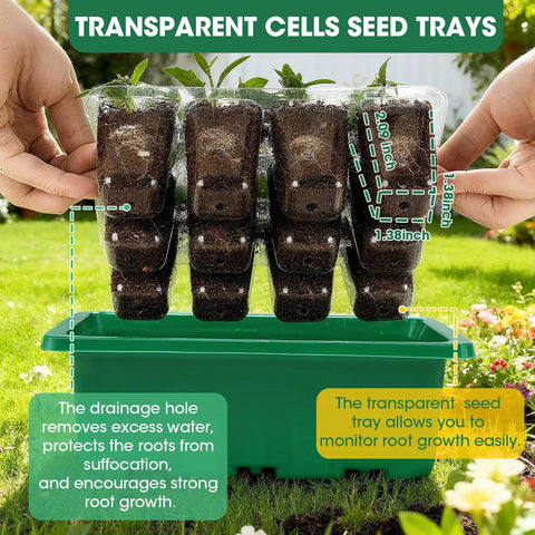 garden seed starter trays Five Pack Seed Starter Tray Kit With Humidity Dome And Transparent Drain  Hole Base For 60 Cell Trays Indoor Greenhouse Propagator For Seed Starting