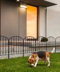 Arched Decorative Garden Fence Panels 10 Pack, 10ft Long By 24in High, Rustproof Metal Wire Border For Dogs And Pets, Yard Must Have Landscape Edging