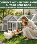 Spacious Outdoor Wooden Chicken Coop With Run For 2 To 4 Chickens, Two Nesting Boxes, Pull Out Trays, Four Perches And Ramp, Grey.