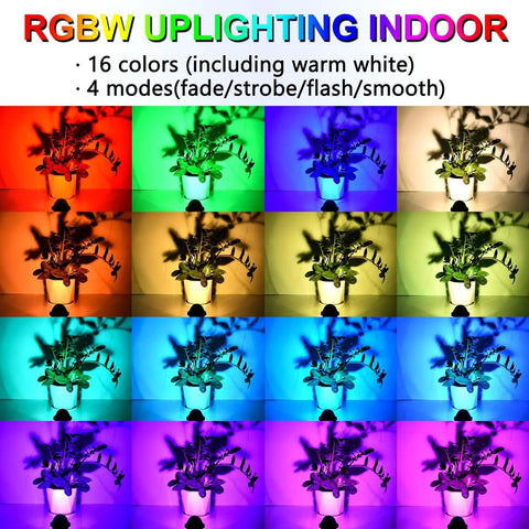 Indoor RGBW Spotlight Set 2 Pack Dope With Remote 5W Uplights In 16 Colors illuminating plants in various colors indoors