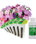 Petunia Cascading Seed Pod Kit For Indoor Hydroponic Garden, 6 Pod Pack with liquid plant food and blooming flowers