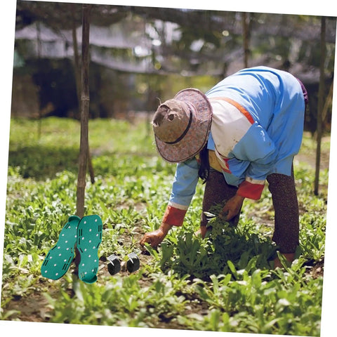 Gardener using Eight Piece Lawn Aerator Shoes With Solid Metal Straps For Easy Assembly And Soil Aeration On Lawns Gardens And Patios