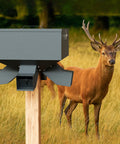 Hella Durable Metal Gravity Deer Feeder With Eighty Pound Capacity And Four Wide Feeding Ports weather proof feeder next to deer in grass.