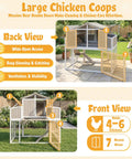Front and back view of a large chicken coop with four nesting boxes for four to six hens, featuring dual egg collection doors.