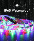 Outdoor RGB LED Light Strips 32 Feet Waterproof IP65 With Remote Control 12V Low Voltage Color Changing Tape Lights