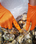 Pair of orange nitrile gloves with textured grip handling oysters in a container.