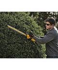 Person using Powerful 20V Max Cordless Hedge Trimmer with 22 Inch Laser Cut Blade, Tool Only, Lightweight Yet Mighty on hedge