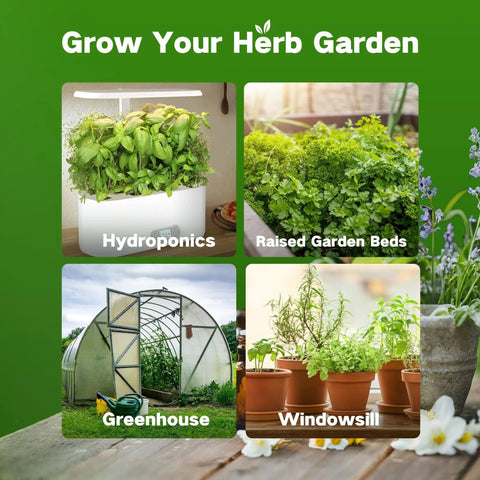 Ancestral Apothecary Medicinal Tea Herb Seed Chest With 40 Heirloom Non GMO Seeds For Planting Oregano Basil Chamomile Lavender And More In Raised Beds And Windowsills A Thoughtful Garden Gift For Women And Men showcasing hydroponics, raised garden beds, greenhouse, and windowsill planting options.
