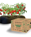 4x8 Ft Home Garden Kit With Drip Irrigation System, Flexible Fabric Planters for Urban Indoor and Outdoor Growing, product image
