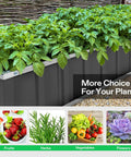 Three Tier Metal Raised Garden Bed 46 By 46 By 24 Inches Galvanized Steel Outdoor Planter Box Stair Step Design For Flowers Vegetables And Herbs Heavy Duty Garden Kit Includes Gloves And Scissors In Dark Gray shown with plants