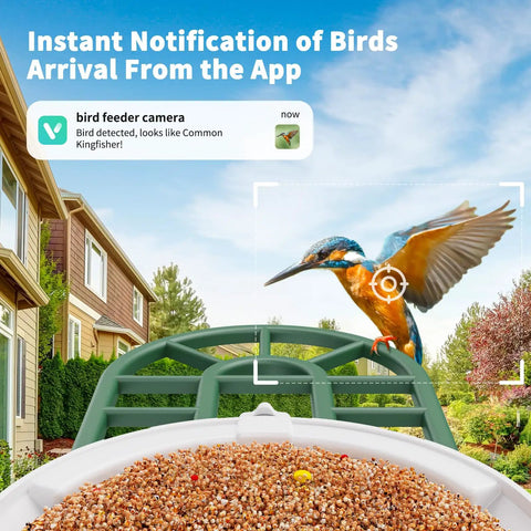 Solar Powered AI Bird Feeder With Camera, 2K HD Live Stream, Instant Arrival Alerts, Identifies 10,000 Bird Species in garden