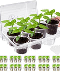 10 Pack Seed Starter Tray Kit With 60 Cell Seedling Trays and 60 4 Inch Nursery Pots, plants growing under humidity dome