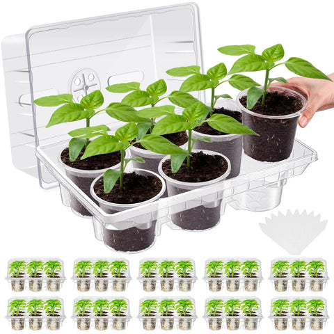 10 Pack Seed Starter Tray Kit With 60 Cell Seedling Trays and 60 4 Inch Nursery Pots, plants growing under humidity dome