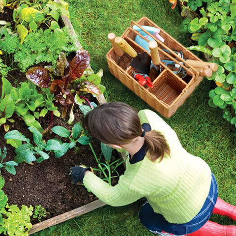 Gardener using Heavy Duty Garden Tools Set With Basket, Stainless Steel Hand Tools With Wood Handles, Pruning Shears, Gloves, A Must Have For Budding Gardeners And Pros, Great Gardening Gift For Women And Men, Planting Supplies next to a garden bed