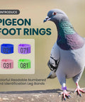 Colorful Numbered Bird Leg Bands 100 Pcs Reusable Half Open Rings for Birds of the Same Size Poultry Parrots Doves 8mm