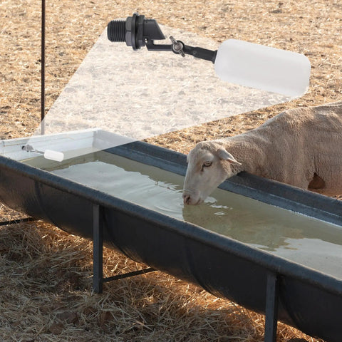 Auto Water Level Float Valve 1/2 Inch NPT Thread For Ponds Fountains And Livestock Troughs Adjustable Arm Plastic Float Ball Valve Set It And Forget It No Power Needed Water Filler And Level Controller in livestock trough with sheep