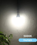 Lit Dusk To Dawn A19 LED Light Bulb 850 Lumens on wall, 5000K daylight, showing brightness in outdoor setting