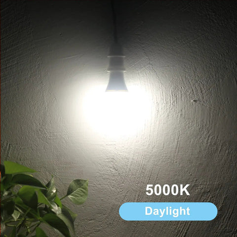 Lit Dusk To Dawn A19 LED Light Bulb 850 Lumens on wall, 5000K daylight, showing brightness in outdoor setting