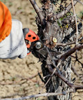 PX Medium Pruner For Precision Slicing With Number Two Blade Ergonomic Garden Shears pruning a branch in a garden