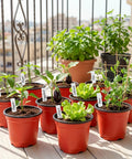 100 Pack 4 Inch Plastic Nursery Pots With Drainage Holes And 100 Plant Labels For Seed Starting Seedlings And Small Flower Plants No Brainer Starter Kit For Your Home Garden Projects displayed on a balcony with plants growing.