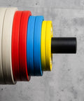 Fractional Weight Plates Set for Incremental Gains on Standard 2 Inch Olympic Bars, 10 Lb Pair with snug fit in gym