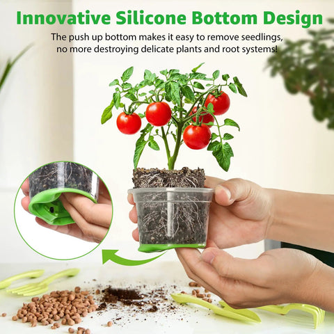 Clear 5 Inch Nursery Pots With Silicone Base for Easy Transplant No Fuss Reusable Seedling Pots 30 Pack for Vegetable Propagation Root Cutting and Seed Starting Transparent Green held in hands with plant