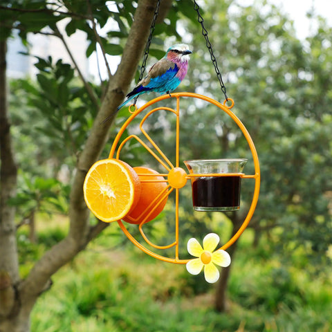 Oriole Bird Feeder For Outdoors Jelly And Oranges, Orange Fruit Feeder With Glass And Metal Build, Hanging in Garden with Bird on Feeder