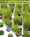 Two Inch Square Seedling Pots Pack Of 50 Dual Color Clear And Black With Drainage Holes For Seed Germination Root View