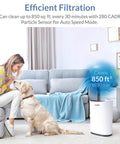 HEPA Air Purifier For Up To 1700 Sq Ft With 3 Stage Filtration and Medical Grade H13 Filter next to woman and dog in living room