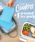 Hand placing XL Slim Ice Packs For Lunch Boxes And Coolers Quick Freeze Reusable Ice Packs in cooler next to lunchbox, blue pack of four
