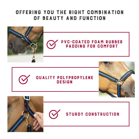 Breakaway Horse Halter With Comfort Foam Padding, Adjustable Chin And Throat Snap, Blue Average Size shown on a horse's head